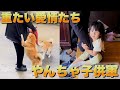 【なぜこんなに懐く？】孫＆孫犬に愛され過ぎて、むしろ大変なばぁば