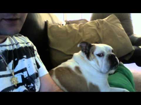 Kosha Dillz x MC Pig Pen's dog "Doug" do Politics ...