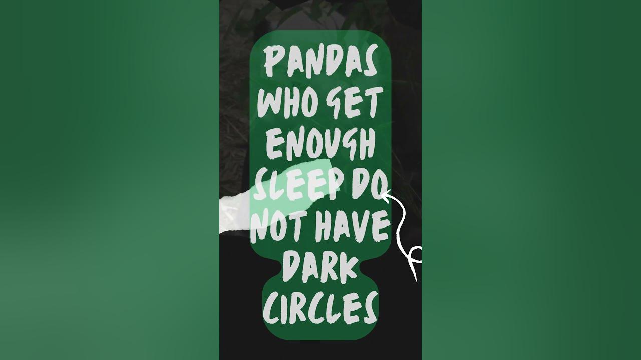 Pandas without black circle eyes youtube