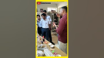 olfactory Indicator practical test #chemistry #cbse #learn #easy #students #grade10 #acidsbases