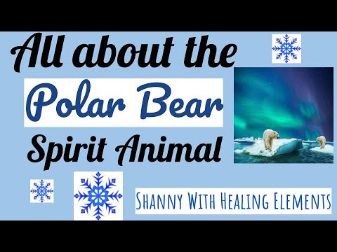 Polar Bear Spirit Animal – Meaning and Interpretations - Spirit Animals