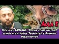 Biólogo ANIMAL: Jiboia come um boi?Serpentes e Animais Peçonhentos parte 5