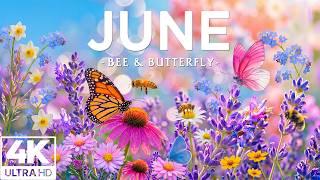 Springtime Splendor 4K | Blooming Gardens, Dancing Butterflies 🌸 Peaceful Nature Escape