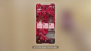 Aqara Temperature and Humidity Sensor Installation Video