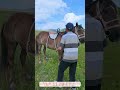 【面白い動画】馬に乗らずにスルッと跨ぐ!神業ダイナミック騎乗スタイルsmash hit
