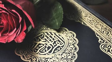 سورة الانسان سلمان العتيبي