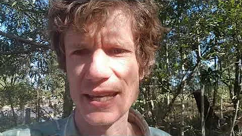 Heavy Clay Soil! Can swales help?