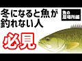 【バス釣り】釣れない時の対処法【大きく２つの場所に魚がいる】