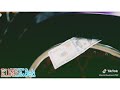 حلات واتس صدى صوت قلبي ميت من سنين حلات واتس صدى صوت قلبي ميت من سنين