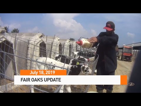 AgDay 07/18/19