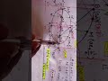 Terms related to   "ELLIPSE "