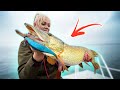 NEW PB!!! Big Pike Fishing in Germany - 🇩🇪vs🇸🇪 (das Battle of das Hecht)