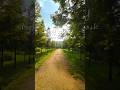 인천대공원 메타세콰이어길 Incheon Grand Park Metasequoia Path #koreatravel