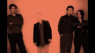The Magnetic Fields- If You Don’t Cry