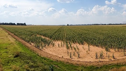 Southern Africa Food Security Outlook (February - September 2017)