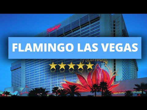 Nunca pierda la esperanza de ganar en el Casino.