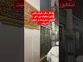 Journey to the Blessed Shrine of Prophet Muhammad (PBUH) | A Heartfelt Experience