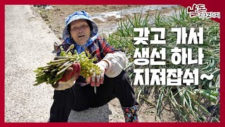 방송국 양반, 이거 갖고 가서 생선🐟 하나 지져잡숴~ [남도지오그래피｜240528]