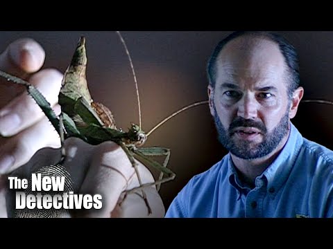 Video: Kāpēc entomoloģiskie pierādījumi ir svarīgi?