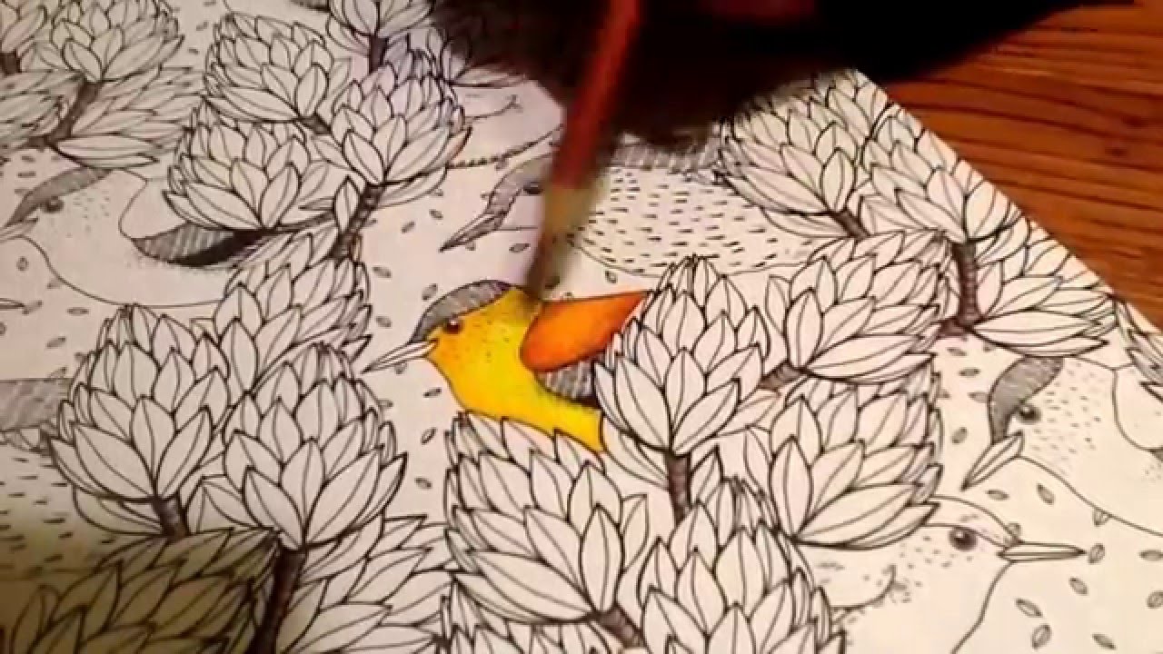 Coloring book with colored pencils