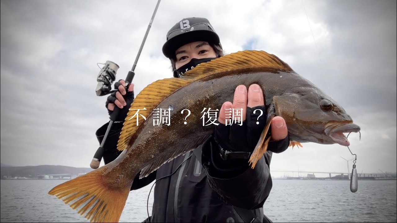 不調と言われるなかで…【室蘭沖堤】