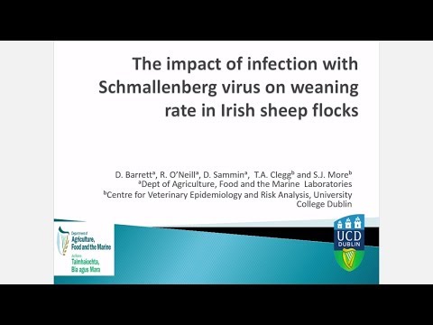 Vídeo: Circulación Del Virus De Schmallenberg Posepidemia: Estudios Paralelos De Vigilancia Serológica Bovina Y Virológica De Culicoides En Irlanda