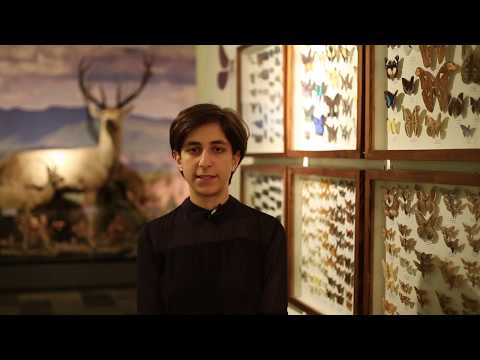 დიალოგი ეკოფემინიზმზე: გარემო და სოფლად მცხოვრები ქალები