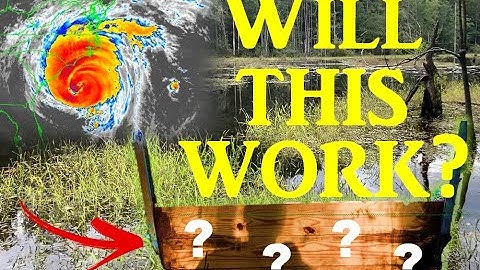 Easy Water Control Structure for More Ducks | TONS of Rice for Ducks