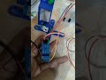 DIY Automatic Plant Watering System | Curiblox STEM Project | Smart Irrigation Without Arduino