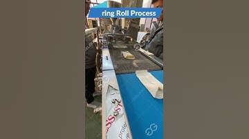 Electric/Gas Spring Roll Machine Manufacturer for Food Processing