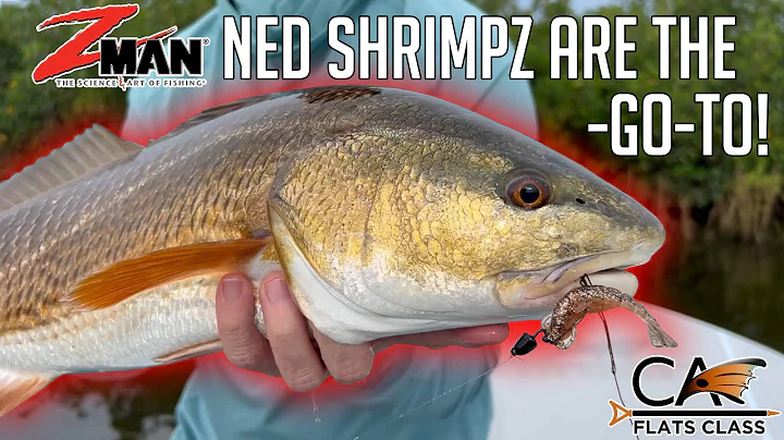 Z-Man Salty NED ShrimpZ Are The Go-To! | Flats Cla...
