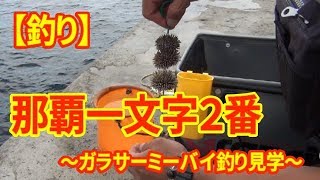 【釣り】那覇一文字２番〜ガラサーミーバイ釣り見学〜