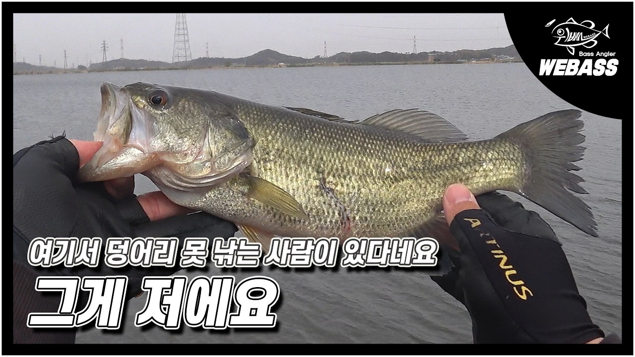 [배스낚시] 여러분의 산란기 배스 낚시는 어떠신가요?