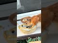Squirrel and mushrooms. Белка и грибы.🐿️ 🍄🟫