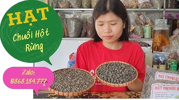 Hạt Chuối Hột Rừng Các Loại - Giá Hạt Chuối Rừng