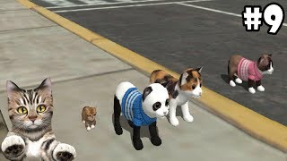 Cat Sim Online: Play with Cats Level 36 Android / iOS  Gameplay Episode 9