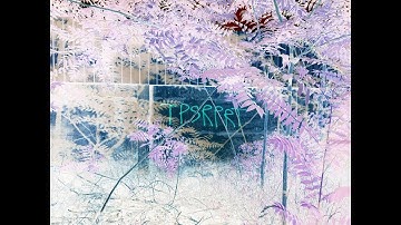 TPSRPRT - 420 Donkey, Smuggler (Slowed)