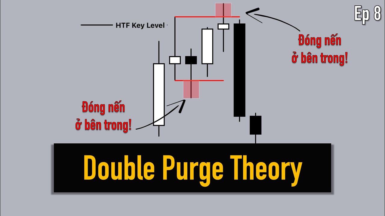Double Purge Theory (DPT) - Liquidity Insights Ep 8