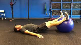 Supine Ball Squat
