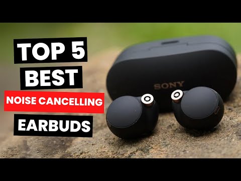 Top 5: Best