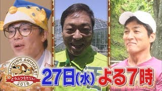 新どうぶつ奇想天外 Tbsテレビ 新どうぶつ奇想天外 Tbsテレビ