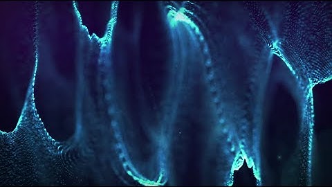 [10 HOURS] Light Web Background | Animation Background | Video Only (1080 HD)