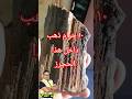 صخور غنية بالذهب صخور غنية بالذهب