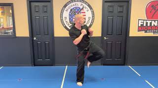 Roundhouse-Axe Kick Combo