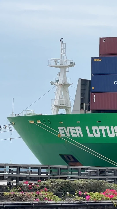 Green Container Ship View #reel #viral #ytshorts #shipping