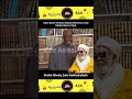 Sheikh Albaniy Zaria RH Hayaniyar Dahiru Bauchi Islam Arewa Shorts