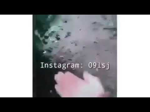 اذا اردت احدآ بشده فا عليك ان تتطلق سراحه