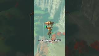 INSANE SECRETS 99.9% OF ZELDA PLAYERS MISSED IN BREATH OF THE WILD!