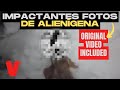 FOTOS DE ALIENÍGENA VIRALES: Muestran a un Ser Alienígena Fallecido (Video Original Encontrado)