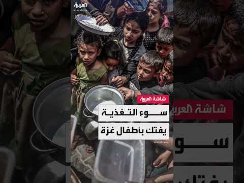 برنامج الأغذية العالمي يحذر من مجاعة وشيكة لنصف مليون في غزة